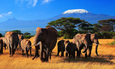 3 Days Tsavo East & Amboseli