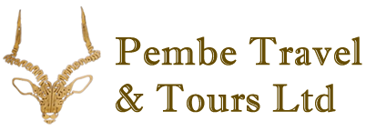 Pembe Travel & Tours