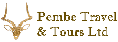 Pembe Travel & Tours